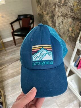 Patagonia Navy and Teal Mountain Patch Trucker Hat 🧢